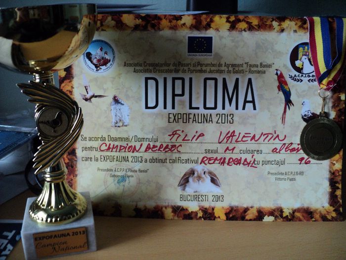 campion rasa berbec-ExpoFAUNA2013-Bucuresti 2013 - participari si rezultate