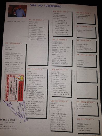 PEDIGRE MAMA CIOC FLOR