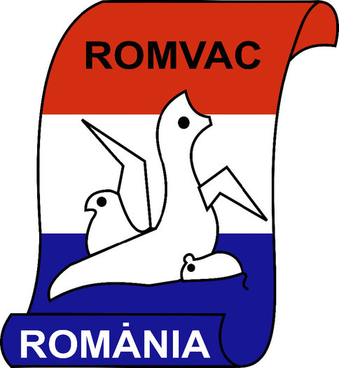 ROMVAC - ce trebuie facut GHID PRACTIC