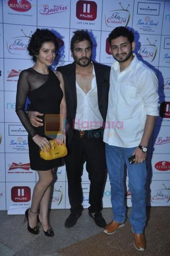 hpse_normal__87478568_ Sukirti Kandpal at the Launch of Telly Calendar 2014 in Mumbai on 29th Sept 2 - Sukirti Kandpal