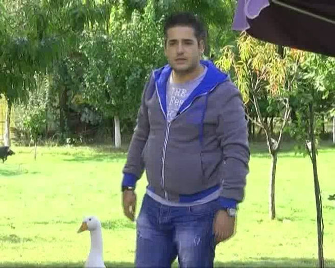 1456582_639253312787213_1827612849_n