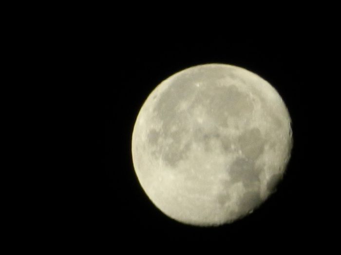 DSCN8454