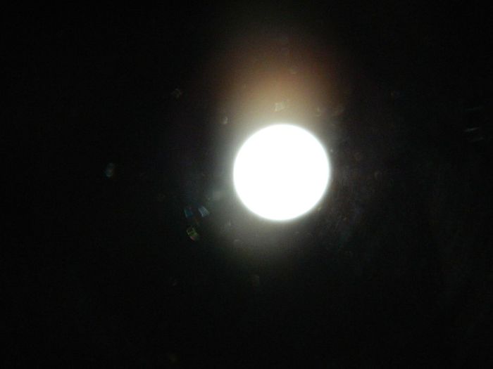 DSCN8468