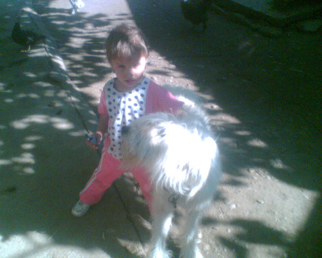 Imag002 - la ferma