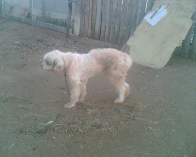 Imag006c - la ferma