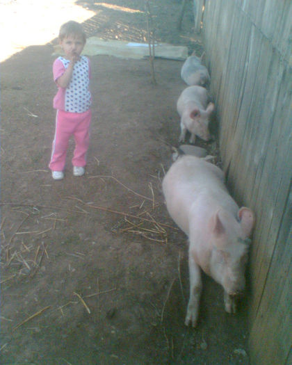 Imag008 - la ferma
