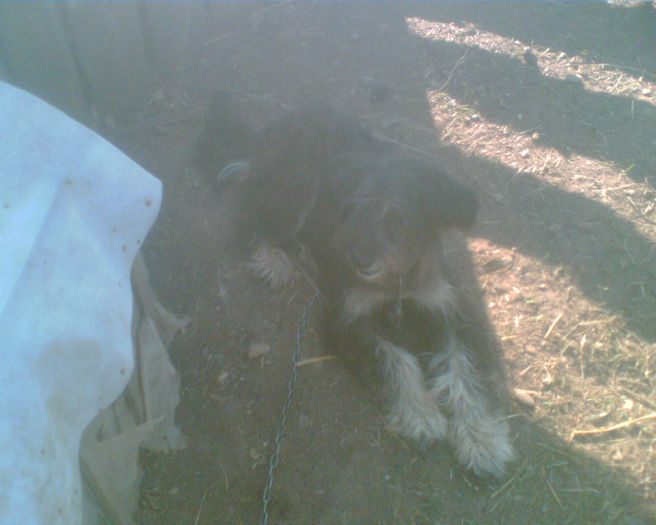 Imag009 - la ferma