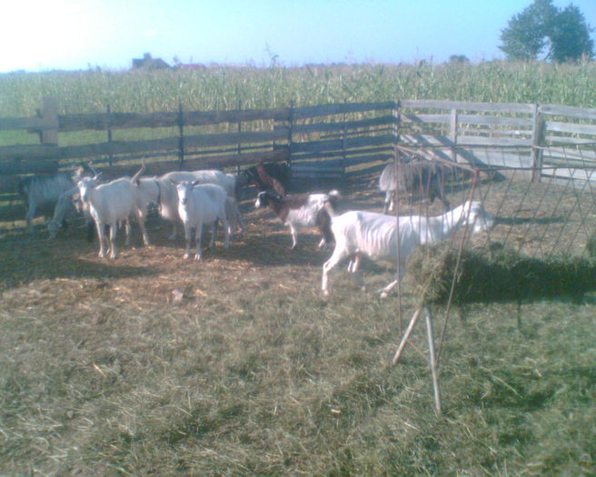 Imag017