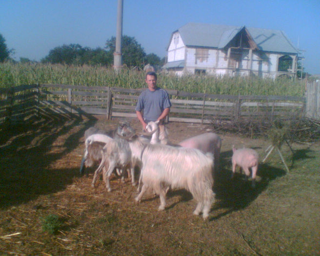 Imag020 - la ferma