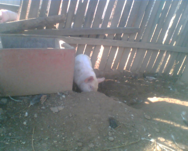 Imag017