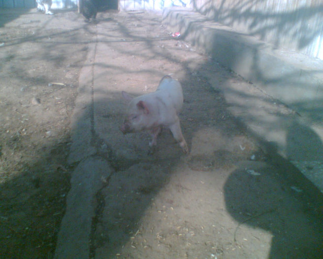 Imag020