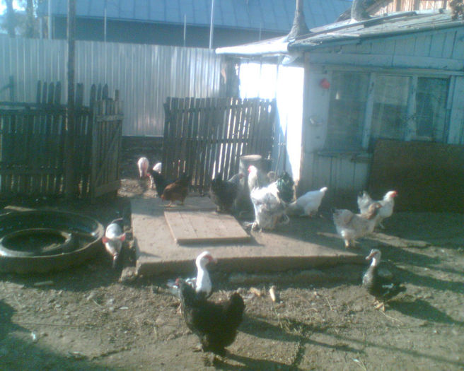 Imag021