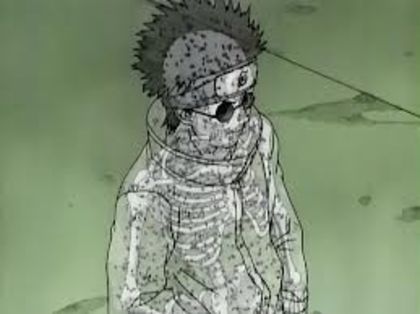 desc%u0103rcare (23) - shino aburame