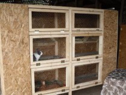 31863558_MRNNZLBZK - CUSTILE CRESCATORILOR