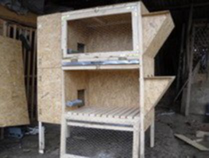 32114894_RTPQPZAON - CUSTILE CRESCATORILOR