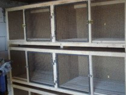 33271716_XGEYNDNRM - CUSTILE CRESCATORILOR