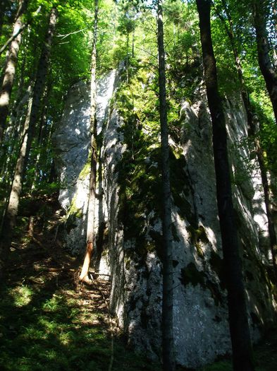 Peisaj 3 - Masivul Piatra mare din Muntii barsei