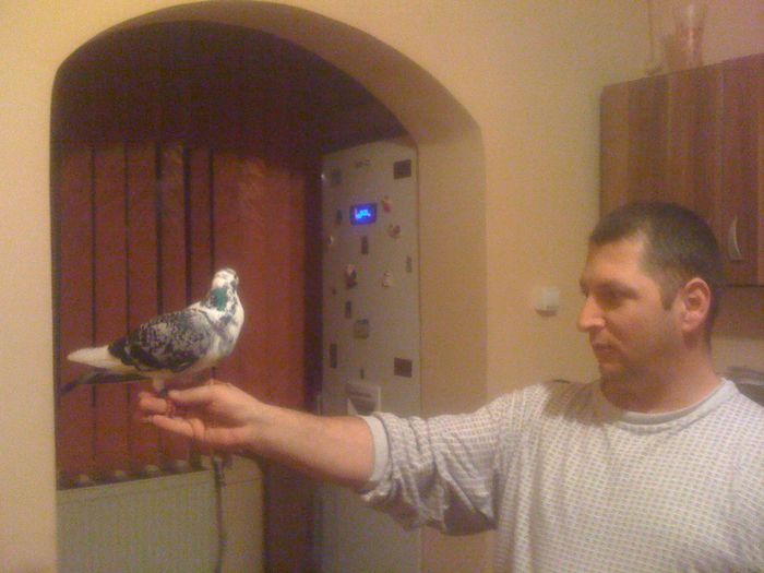 IMG_0339; masc hung salvat de la moarte
