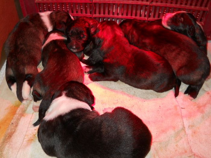 DSCN3121 - Fatare Hera