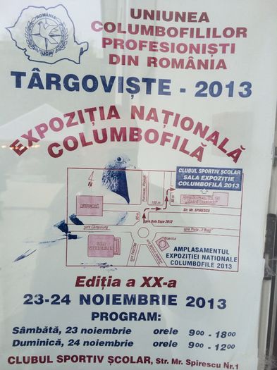 image - Expozitia Nationala Columbofila Targoviste 2013