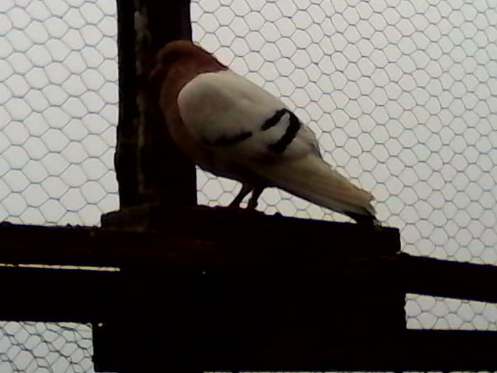 IMG_20131122_140441