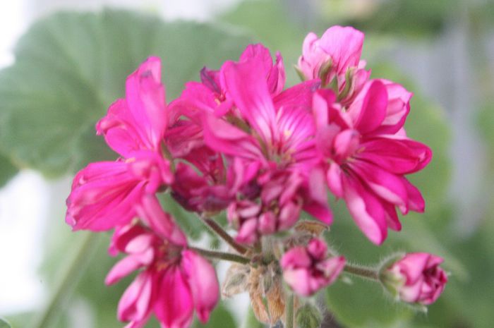 IMG_0138 - Noiembrie 2013