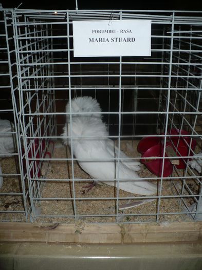 P1140458
