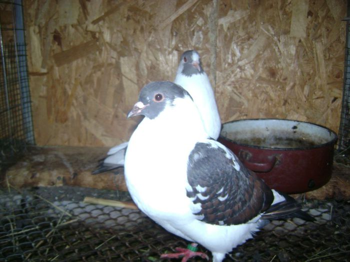 Pregatiti pentru noua locatie