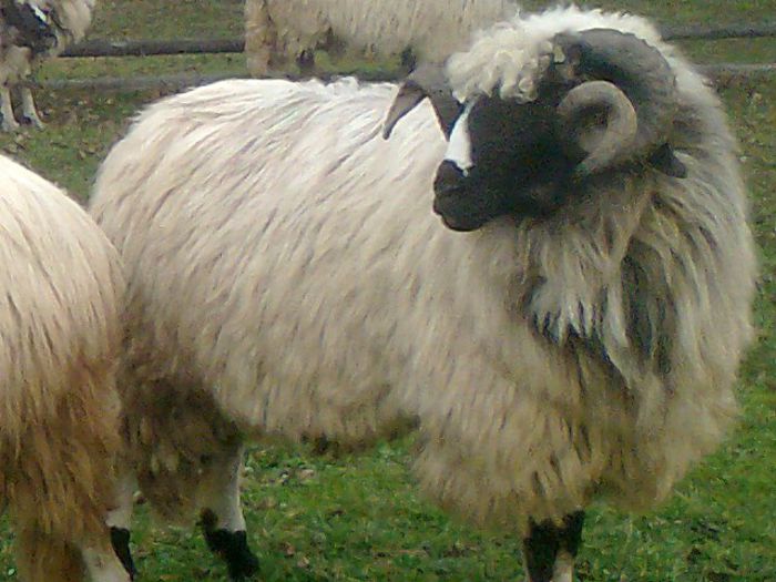 fotografie5144_001_001