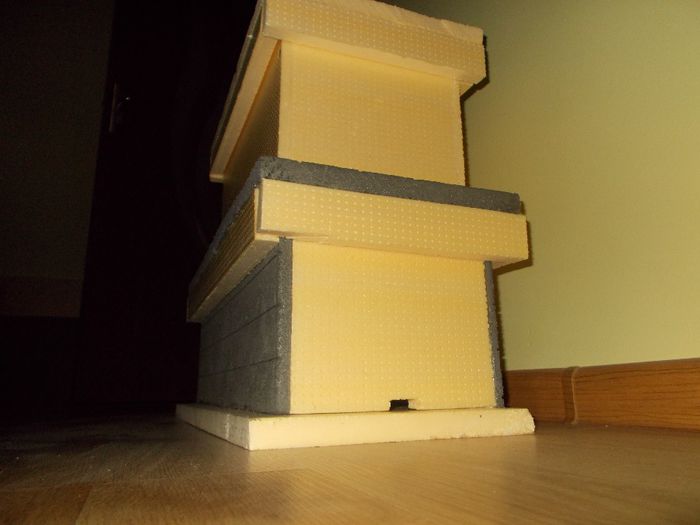 DSCN2503