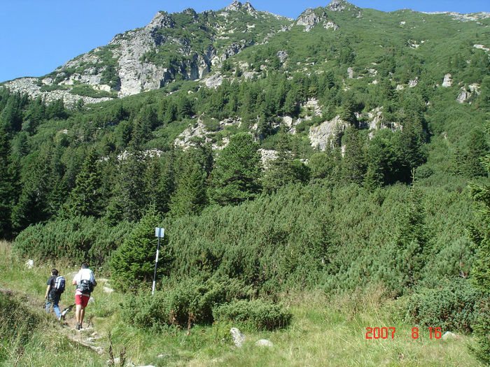 DSC00108 - Muntii Retezat