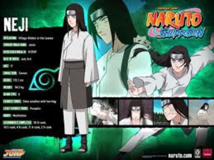 desc%u0103rcare (71) - neji hyuga