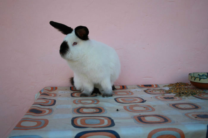 93766505_FNRZRER3[1]