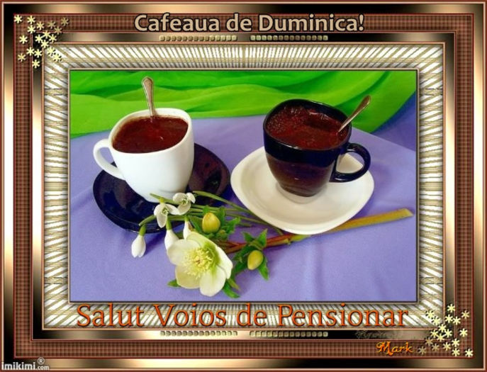cafeaua de duminica; Buna ziua si bine v-am gasit dragi prieteni.Va invit la o cafea pe forumul nostru www.svdp.forumactual.com precum si pe pagina noastra de facebook www.facebook.com/paginasalutvoiosdepensionar .
