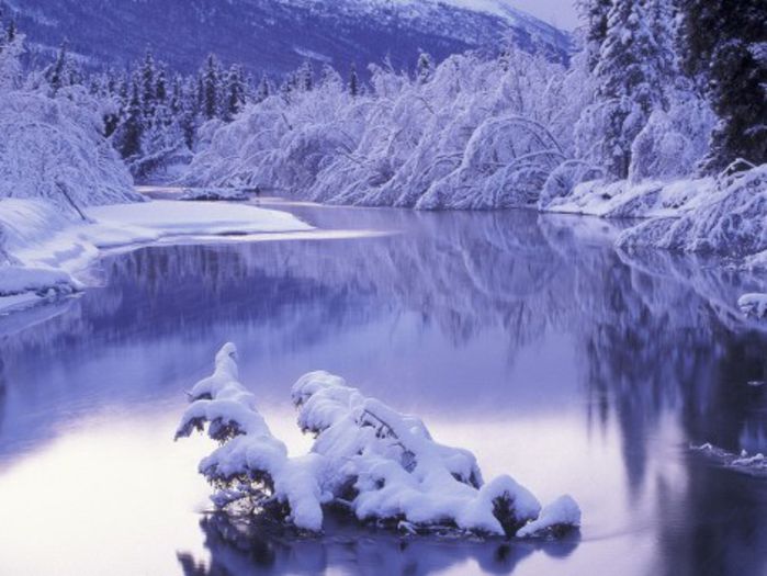 winter_wallpaper_47