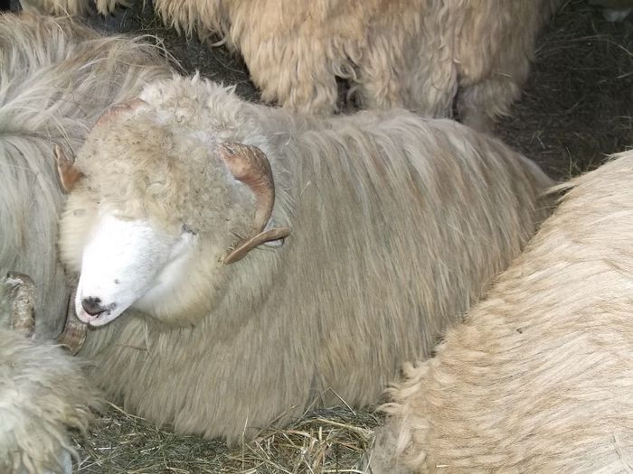 Picture 200 - Noatini Bali de Bistrita