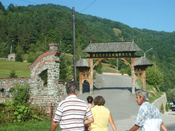 S5007369 - MARAMURES-Valea Vaserului-Borsa