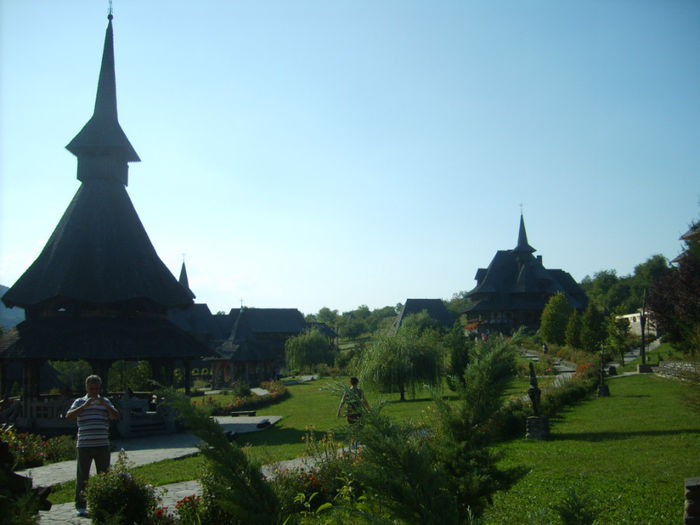 S5007402 - MARAMURES-Valea Vaserului-Borsa