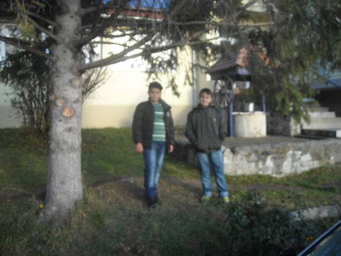 DSCN6162