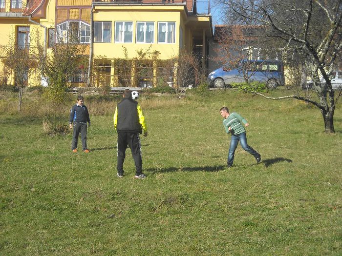 DSCN6183