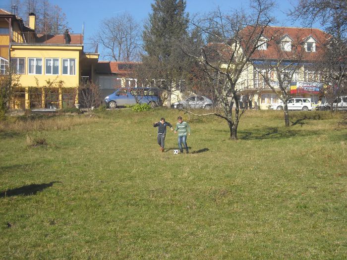 DSCN6190