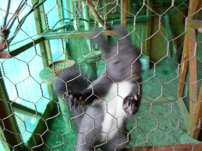 SAM_1765 - VEVERITE 2013