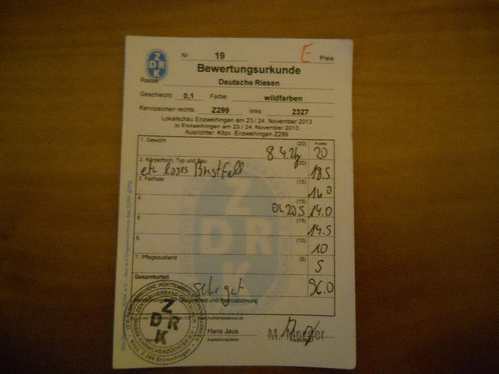 Z 299 2327(F1); 96pct
CAP si POZITIE FANTASTICA!!!
