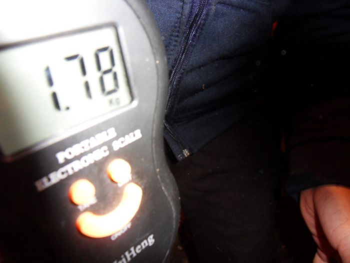 f2 la o luna si 8 zile