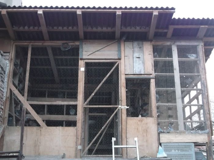 DSCF1578 - crescatoria