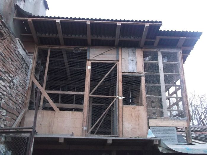 DSCF1582 - crescatoria