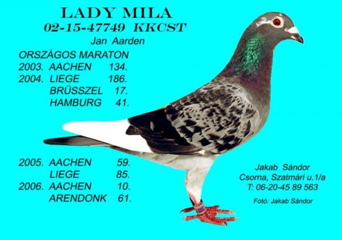 lady_mila - Ascendentii celebri ai porumbeilor mei
