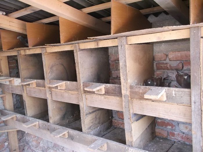 DSCF9542 - crescatoria