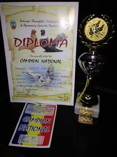 IMG_0882[1] - CAMPION NATIONAL ORBETEAN ROMANESC-LUGOJ 2013