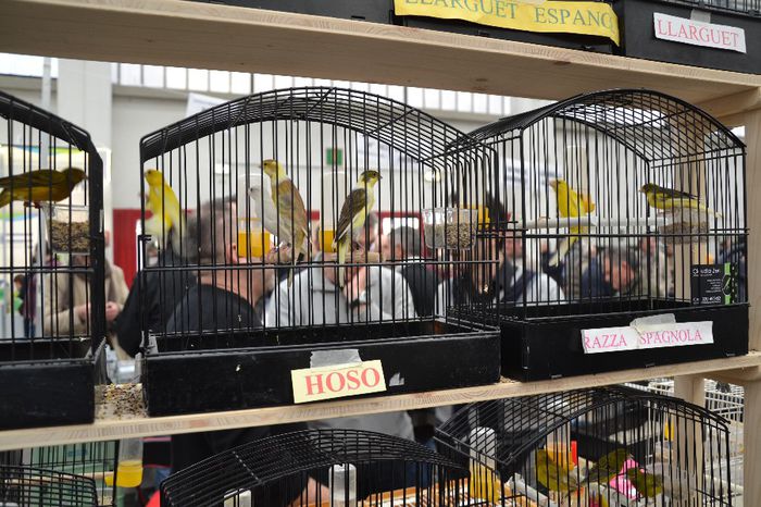 DSC_0603 - 2013-POZE NR 2